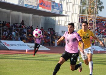 Tropieza Correcaminos en casa