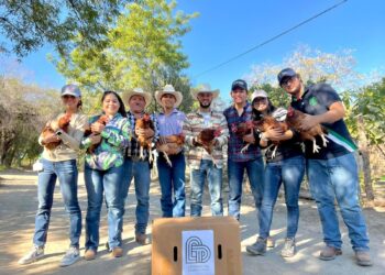 ”Latiendo por Tamaulipas” entrega 800 gallinas de postura a familias del Ejido La Libertad