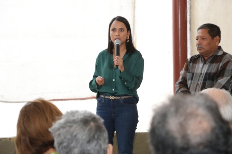 Morena y aliados consiguen recursos para proteger cordón litoral