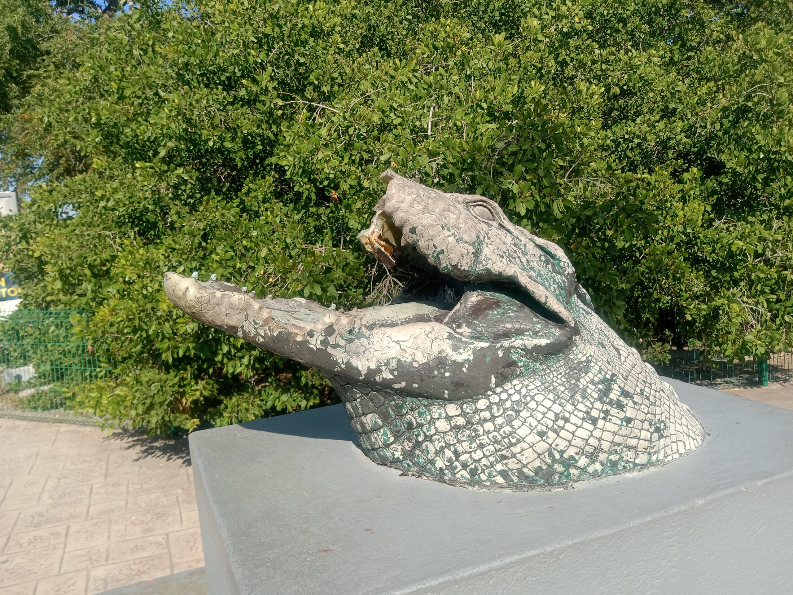 Descuidan mirador de cocodrilos en Tampico