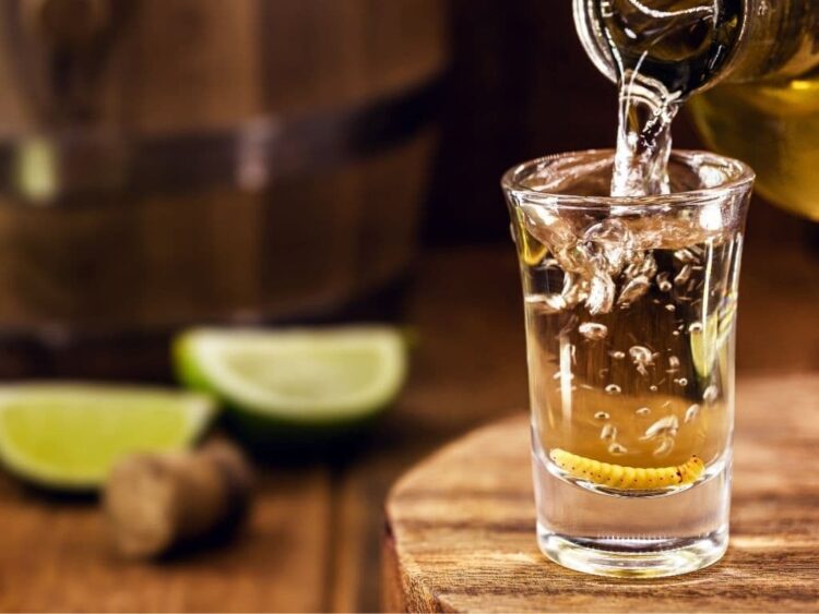 Tendra Reynosa su propio Mezcal
