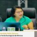 Que tengamos un proceso electoral ejemplar: Esmeralda Peña, Verde Tamaulipas