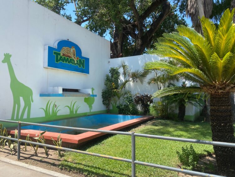 Arranca “Buu en el Zoo”, el recorrido más espeluznante