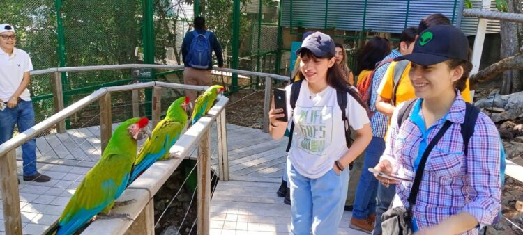 Ofrece Parque Ecológico Biósfera El Cielo talleres gratuitos sobre la mariposa monarca