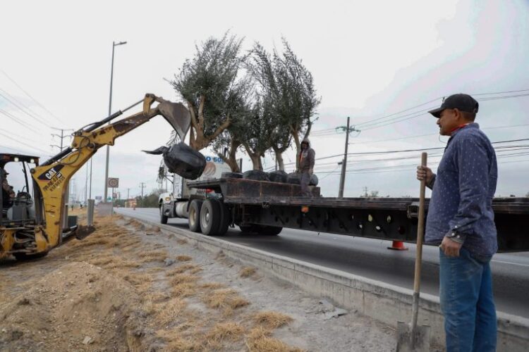 Avanza programa de reforestación