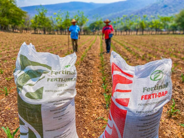 Arranca Agricultura programa Fertilizantes para el Bienestar 2024 en 12 entidades del país