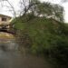 Ingreso de frente frio deja saldo de 9 arboles caídos