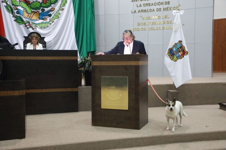Pide Gustavo Cárdenas que congreso adopte a «perritas guardianas»