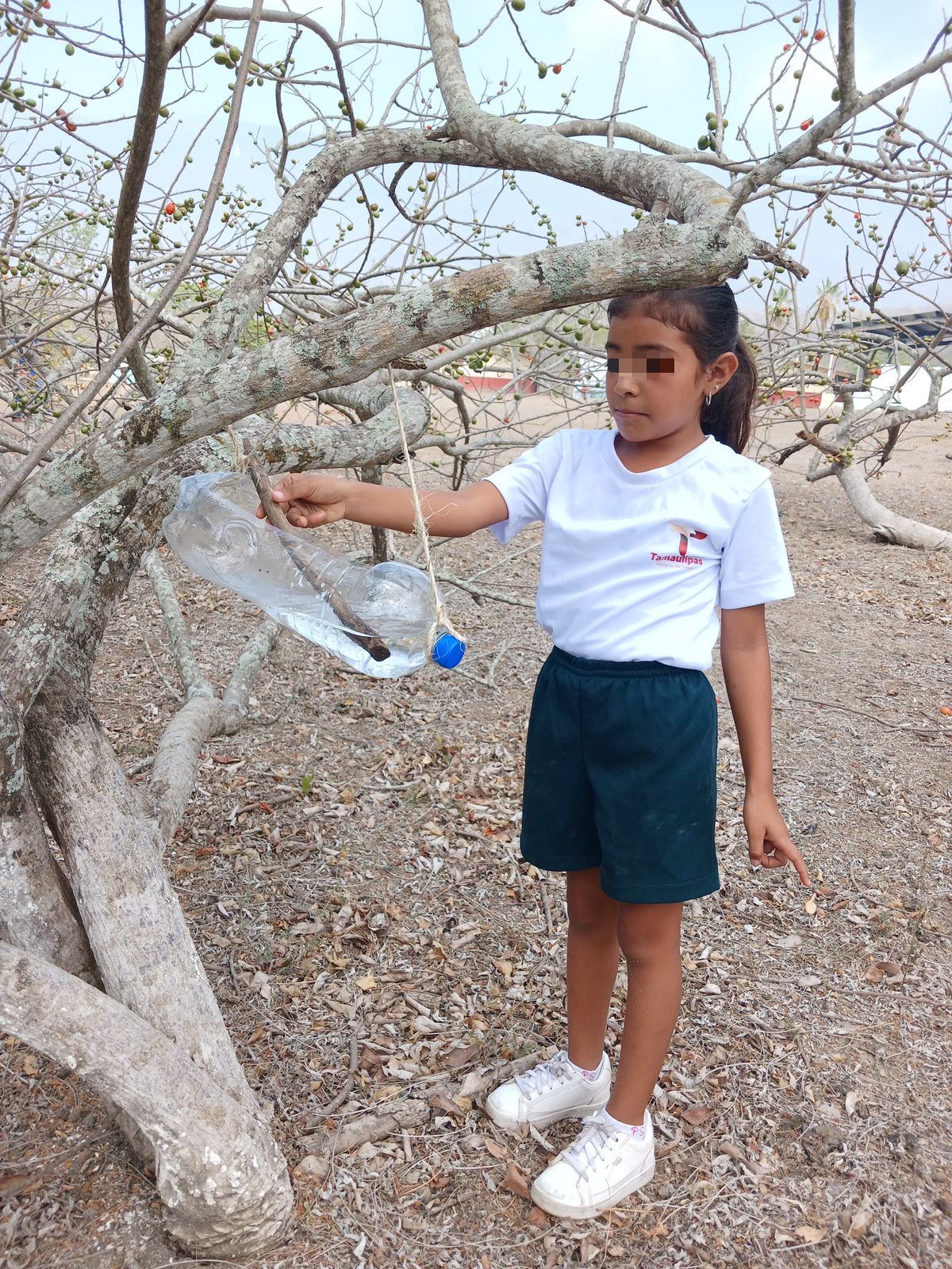 Elaboran niñas y niños bebederos para aves con material reciclable