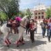 Su padre le regala un caballo por culminar estudios