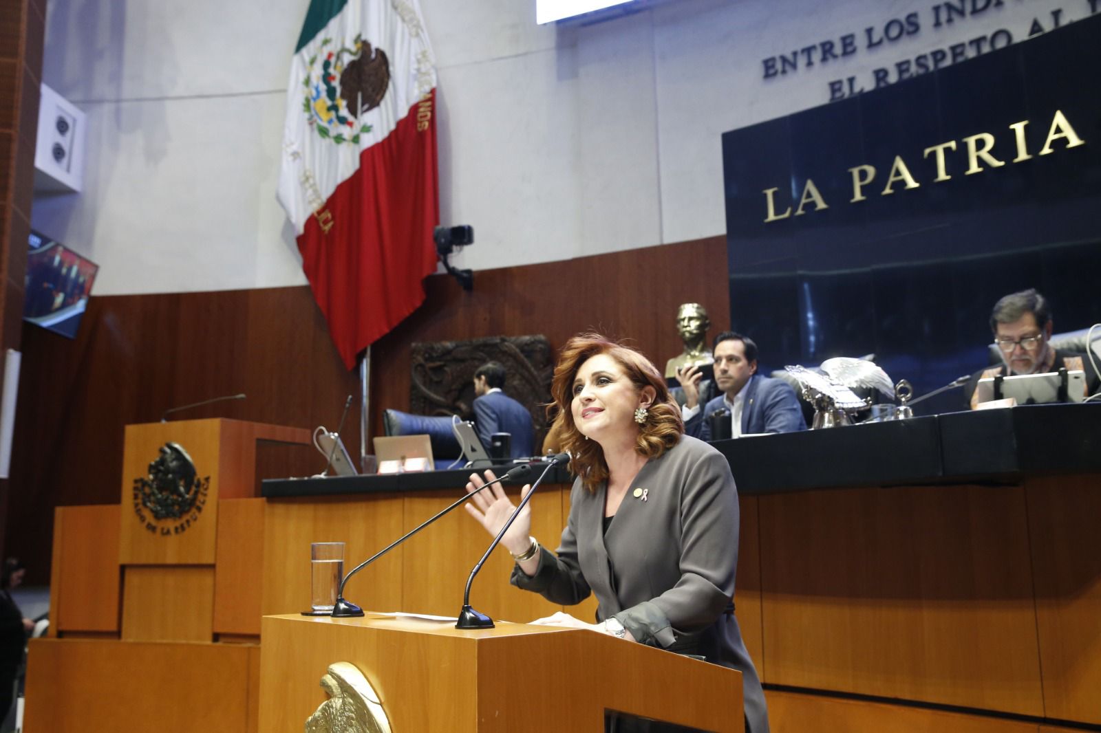 Lamenta Imelda Sanmiguel el riesgo en el que están las libertades de las y los mexicanos