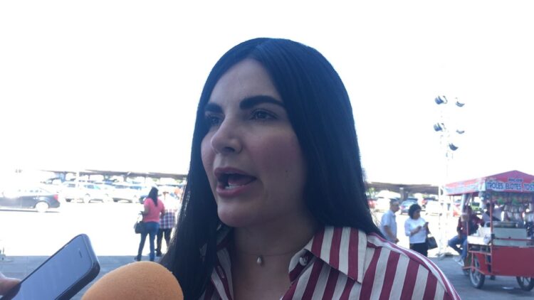 Nataly García Díaz impulsa proyectos para mejorar infraestructura y economía en Díaz Ordaz