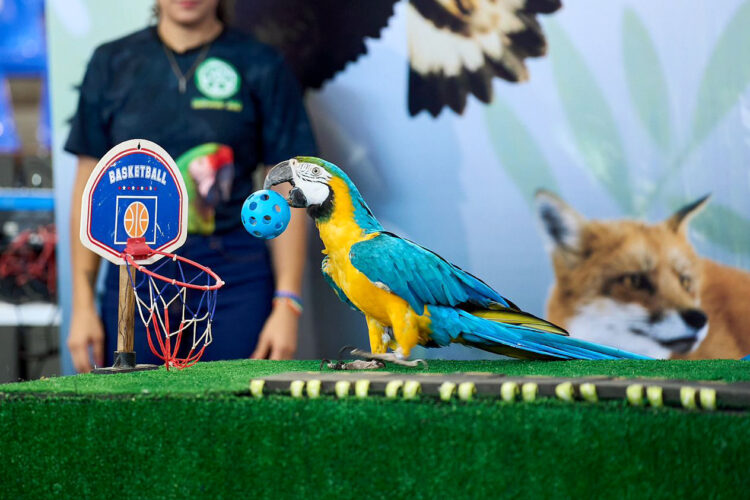 Promueven en alumnos de primaria respeto a la vida silvestre en Feria Tamaulipas 2024