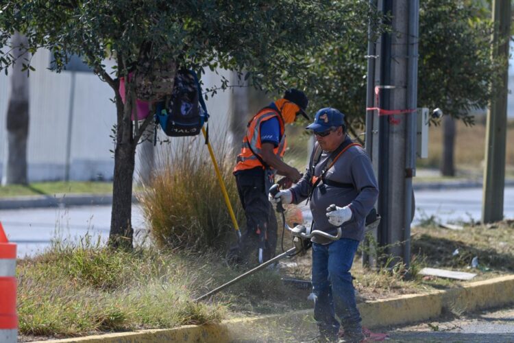 Municipio limpia y conserva 35 mil metros lineales de avenidas y jardines