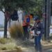 Municipio limpia y conserva 35 mil metros lineales de avenidas y jardines