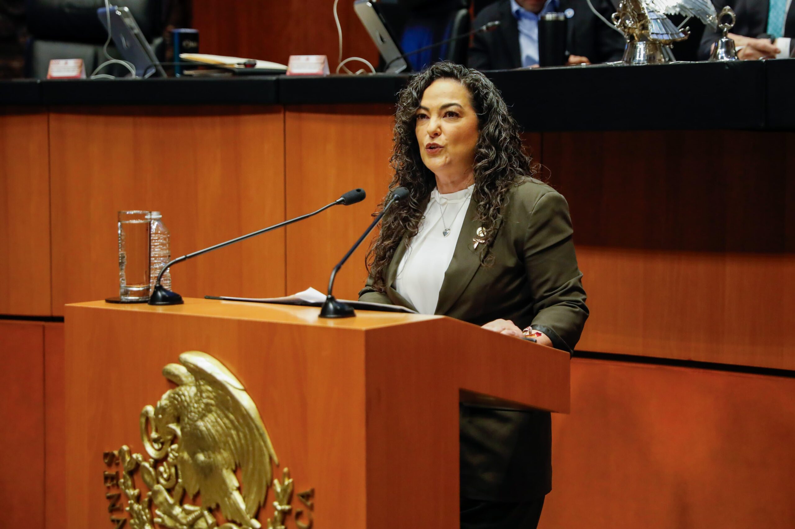 Senadora Olga Sosa, propone plantar cercos vivos en lugar de cercos de madera, cemento o alambrada para delimitar propiedades