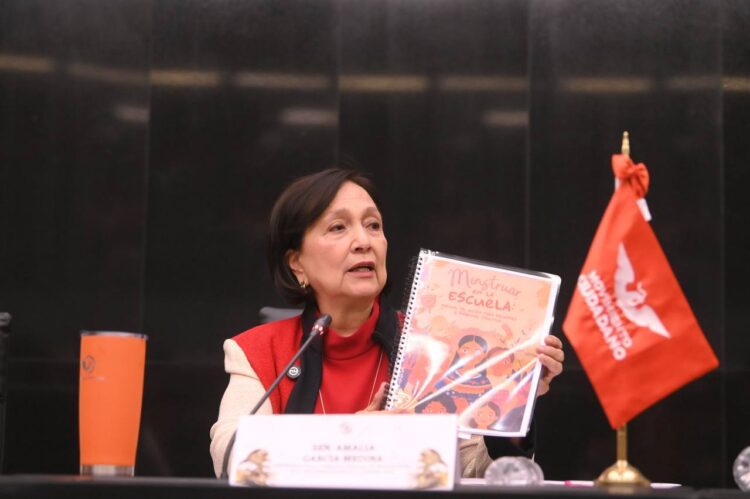 Urge Amalia García garantizar menstruación libre y digna en México