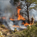 Incendio forestal afecta más de 370 hectáreas en la Sierra de Jaumave