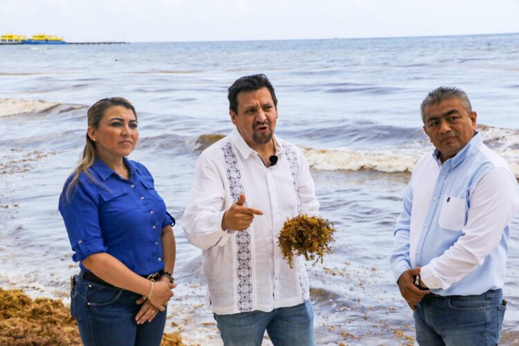 Diputado va por fondo anti sargazo para Quintana Roo
