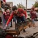 Colonia Insurgentes se beneficia con jornada permanente de descacharrización