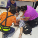 Adulto mayor se desmaya en Chedraui de Matamoros; trasladado al Hospital General