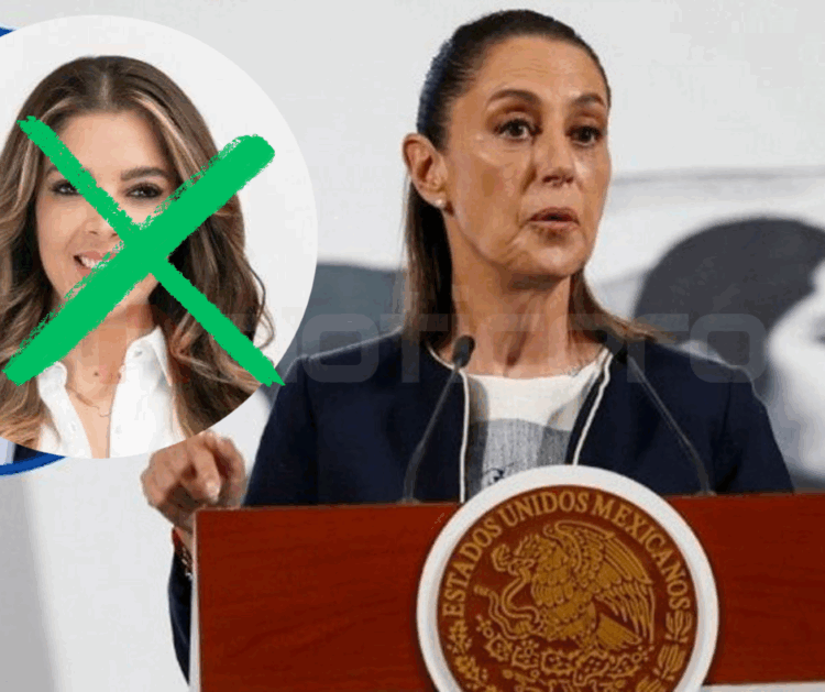 Respeto de los tiempos electorales tras declaraciones de senadora del PVEM