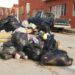 Asegura Obras Públicas que recolección de basura en Victoria quedará regularizada esta semana