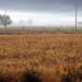 Producción agrícola sin contratiempos, pero persiste desabasto de agua en comunidades rurales