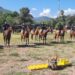 Agrupamiento Montado de la Guardia Estatal se fortalece con gimnasia ecuestre