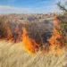 Incrementan incendios zacatales; Protección Civil Victoria llama a la prevención