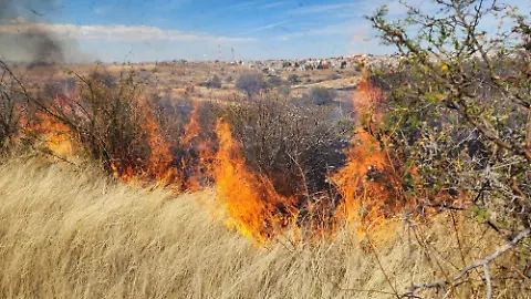 Incrementan incendios zacatales; Protección Civil Victoria llama a la prevención