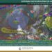 Cielo despejado y altas temperaturas en Tamaulipas