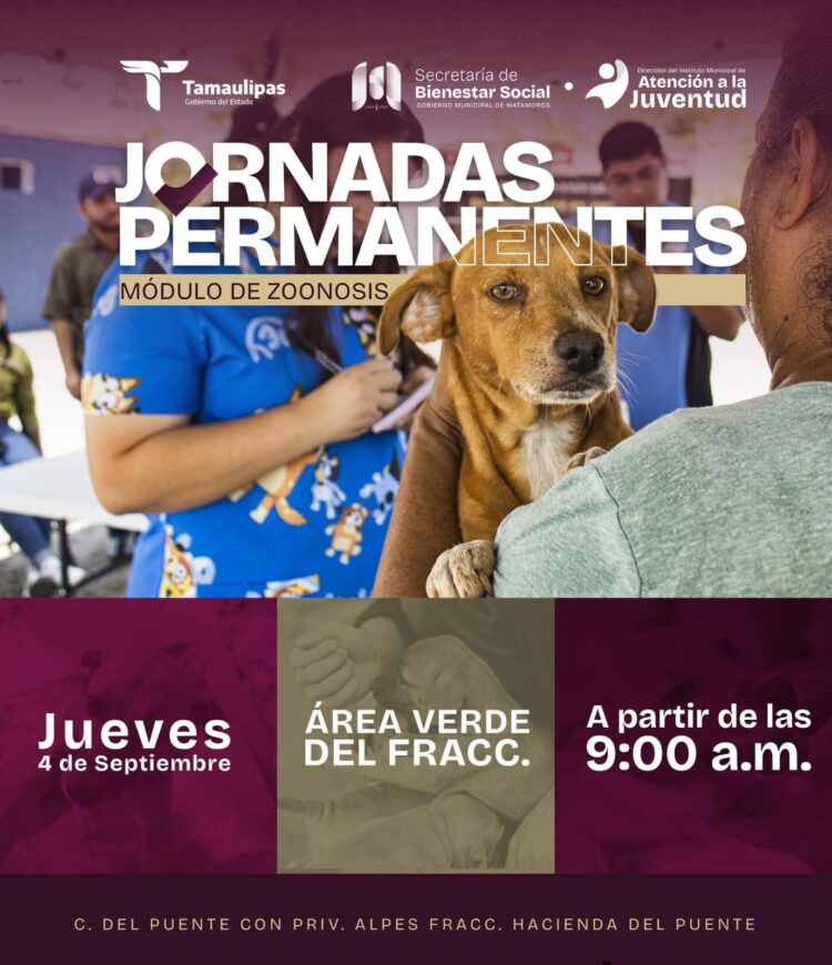 Gobierno de Beto Granados invita a jornada permanente de atención para mascotas