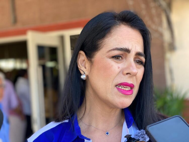 “La salud y la seguridad siguen doliendo a los tamaulipecos” Dip. Marina Ramirez