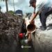 Avanza rehabilitación de drenaje en Francisco Villa Norte