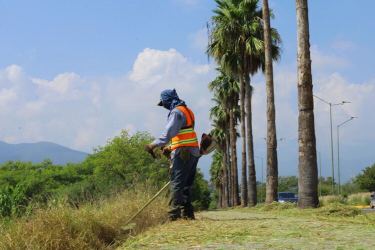 Acelera municipio arreglo de vialidades en Victoria