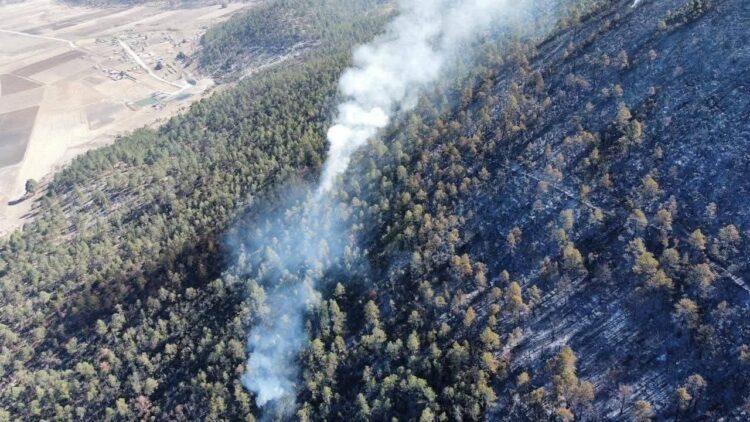 Lluvias favorecen combate al incendio en Miquihuana; reportan 50% de control