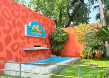 Niñas y niños tendrán acceso gratuito a parques estatales este 30 de abril