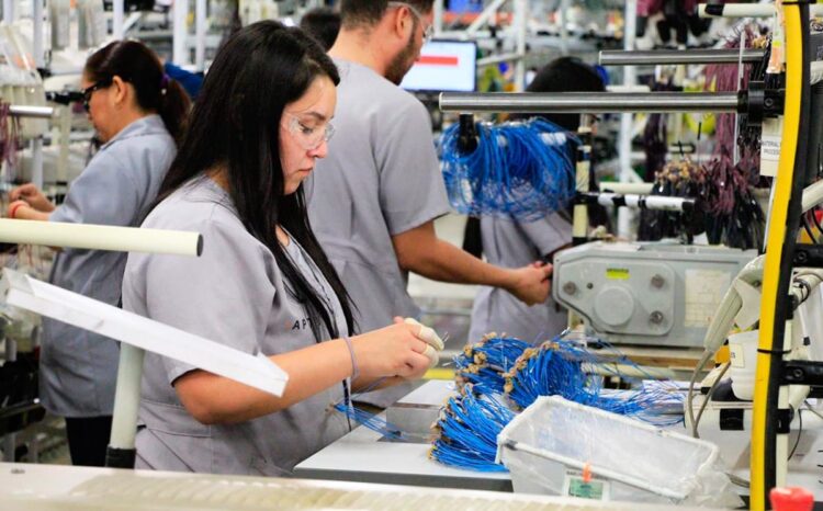 Avanza colocación laboral en Tamaulipas con más de 2 mil 700 empleos vinculados en lo que va del año