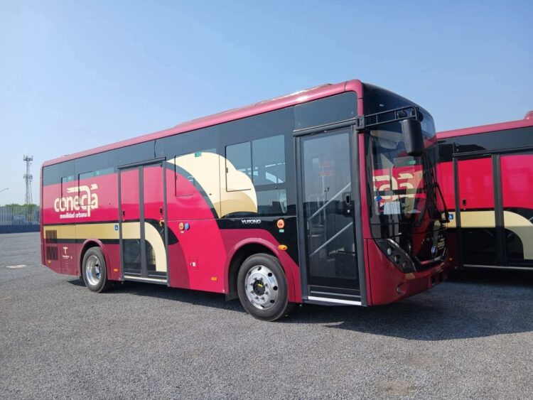 Llegan autobuses gratuitos a Ciudad Victoria