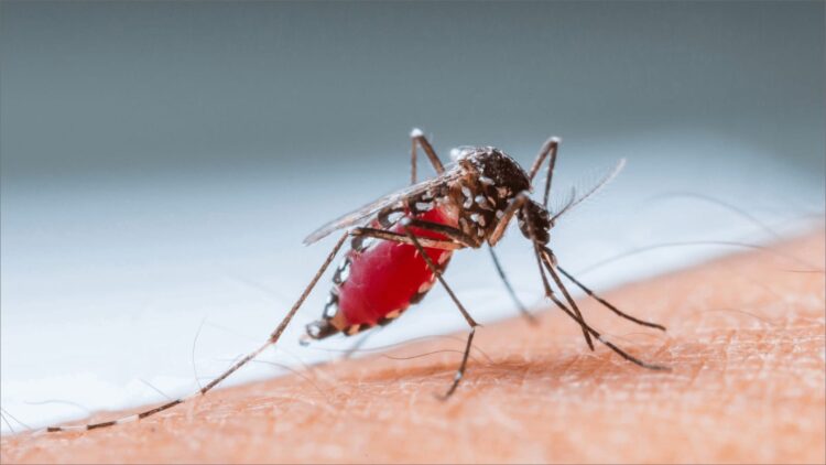 Trabajo coordinado permite mantener controlado el dengue en Tamaulipas