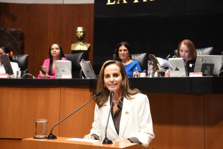 PAN acusa concentración de poder y riesgos a la democracia por reformas de Morena