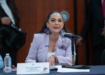 Senado aprueba minuta para fortalecer la consolidación del nuevo Poder Judicial