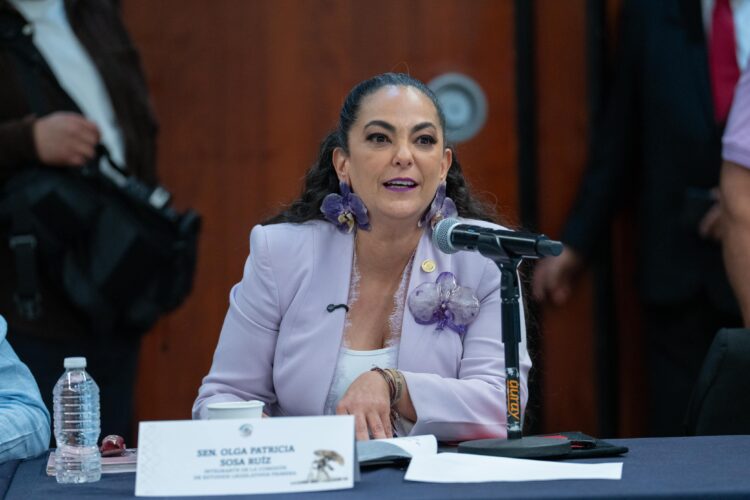 Senado aprueba minuta para fortalecer la consolidación del nuevo Poder Judicial