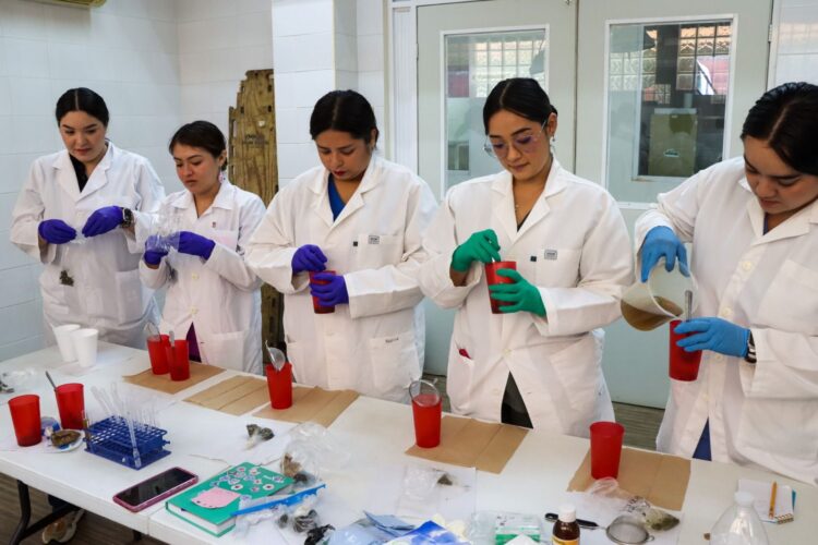 Fortalece Comisión de Parques y Biodiversidad capacitación veterinaria en el Zoológico Tamatán