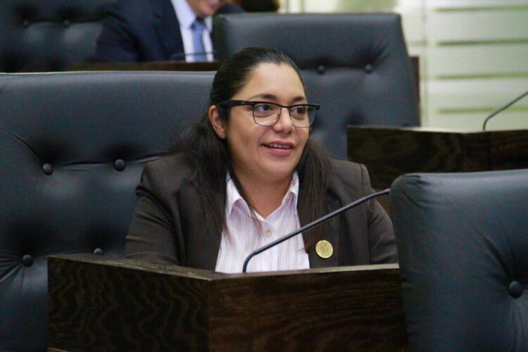 Propone Lucero Deosdady reforzar medidas de protección para víctimas de violencia en Tamaulipas