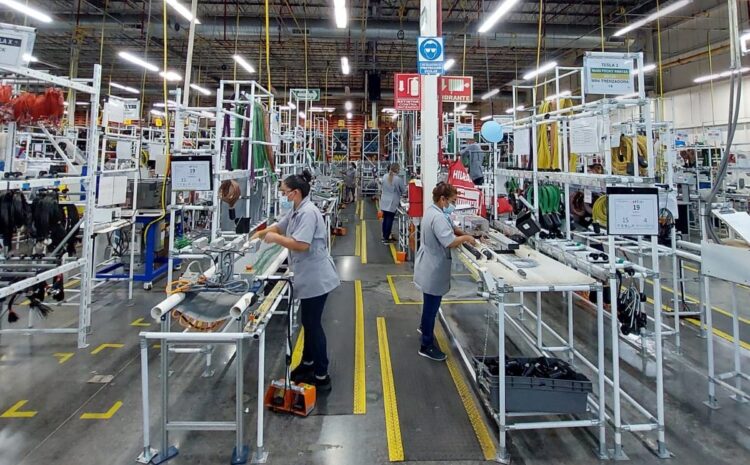 ¿Qué hacer si no recibo mis utilidades en Tamaulipas? Esto dijo la secretaría del trabajo