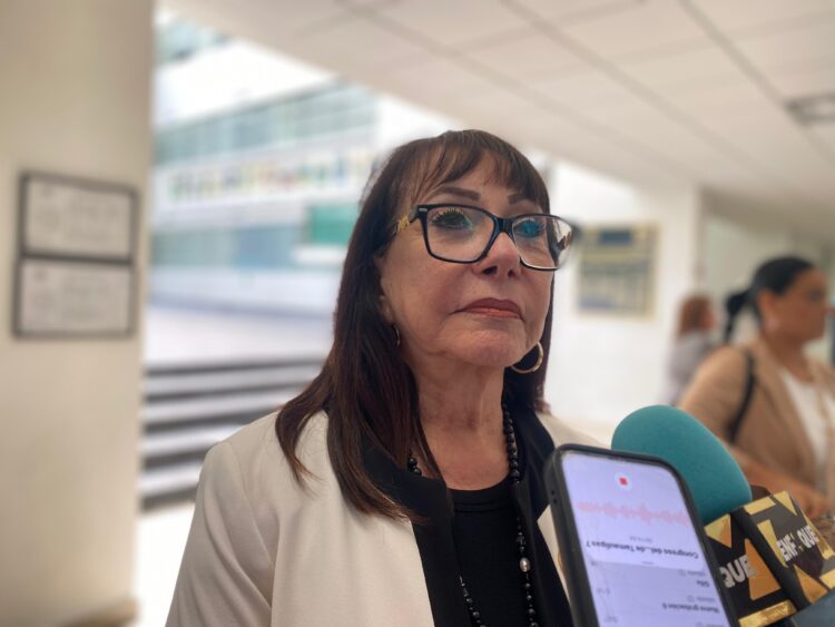 Propone diputada Blanca Anzaldúa crear mesas de seguridad para atender robos en escuelas