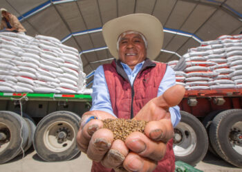 Modifica Agricultura reglas del Programa Fertilizantes para el Bienestar 2026