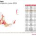 Estrategia de seguridad coordinada desde la Mesa de Paz consolida resultados en Tamaulipas
